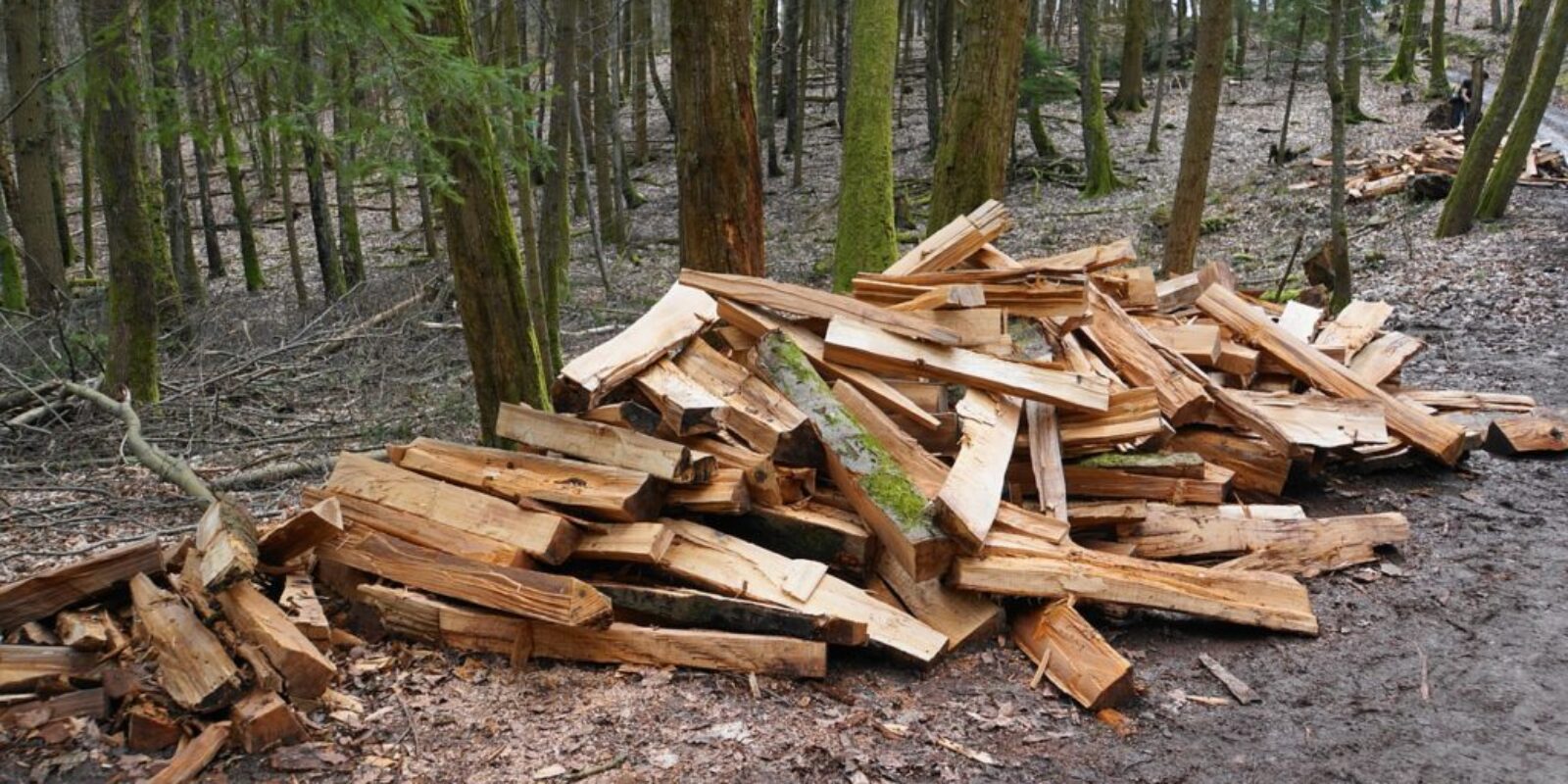 firewood-2834106_1280