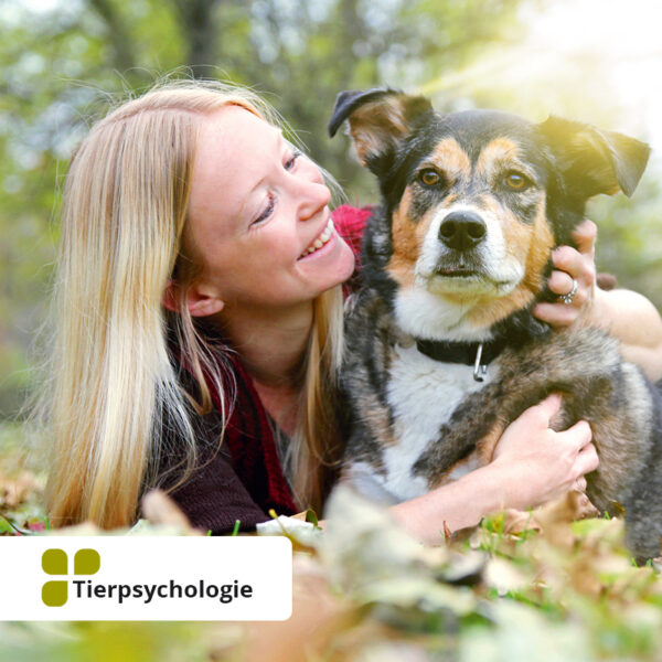 Tierpsychologie – Tierhaltung, Tierbetreuung, Tierverhaltenstherapie