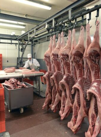 Betriebsanweisung Arbeiten im Kühlraum