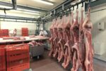 Betriebsanweisung Arbeiten im Kühlraum